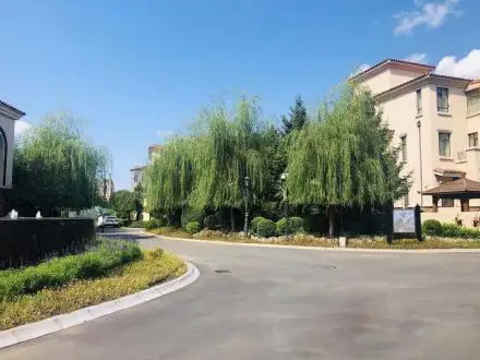 長春 明珠別墅 （萬達房地產有限公司）